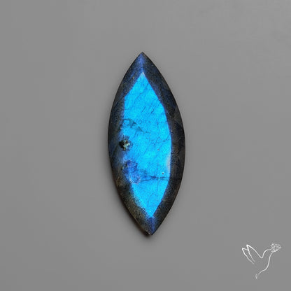 Portrait Cut Blue Labradorite Flat Backed