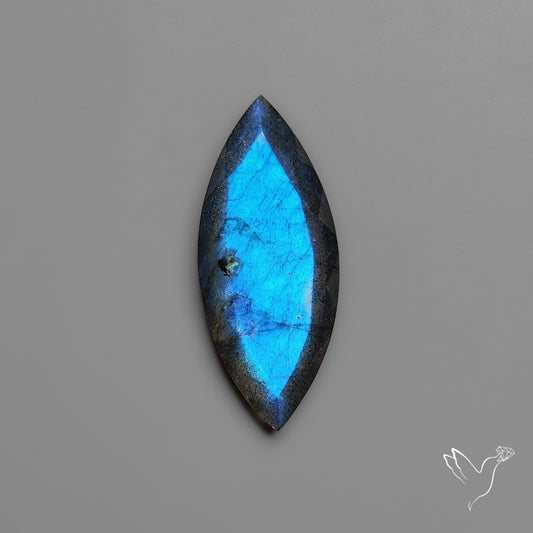 Portrait Cut Blue Labradorite Flat Backed