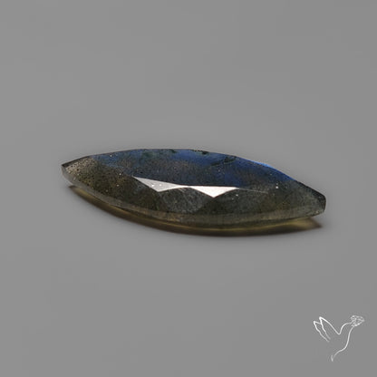 Portrait Cut Blue Labradorite Flat Backed
