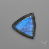 Portrait Cut Blue Labradorite Flat Backed