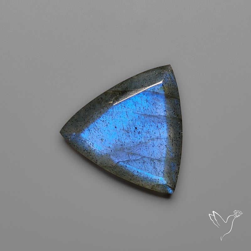 Portrait Cut Blue Labradorite Flat Backed