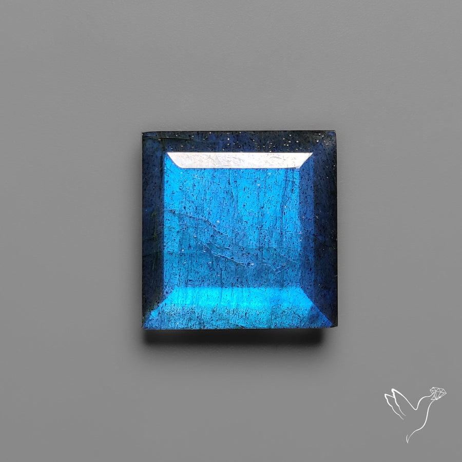 Portrait Cut Blue Labradorite Flat Backed