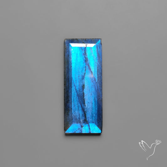 Portrait Cut Blue Labradorite Flat Backed
