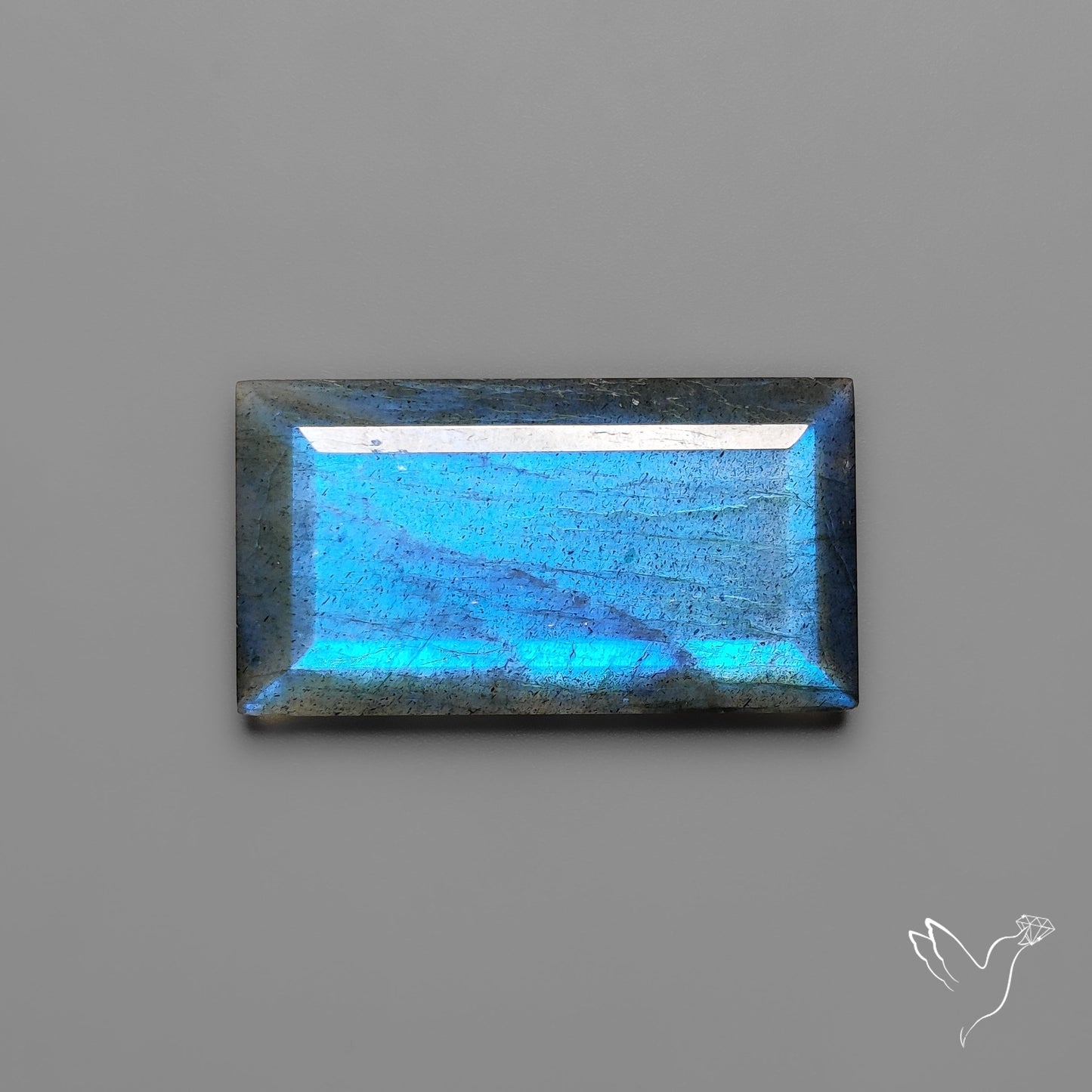 Portrait Cut Blue Labradorite Flat Backed