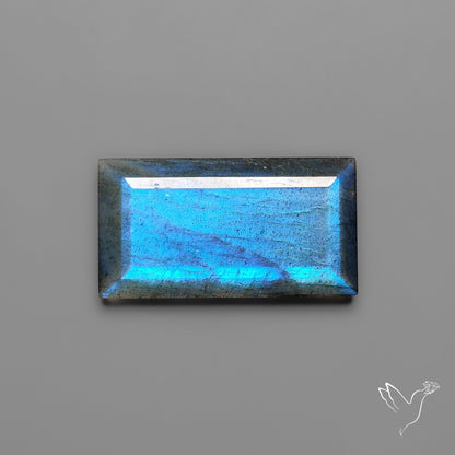 Portrait Cut Blue Labradorite Flat Backed