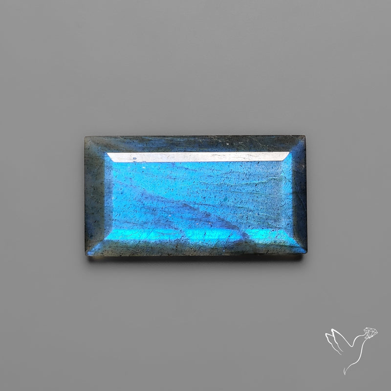Portrait Cut Blue Labradorite Flat Backed