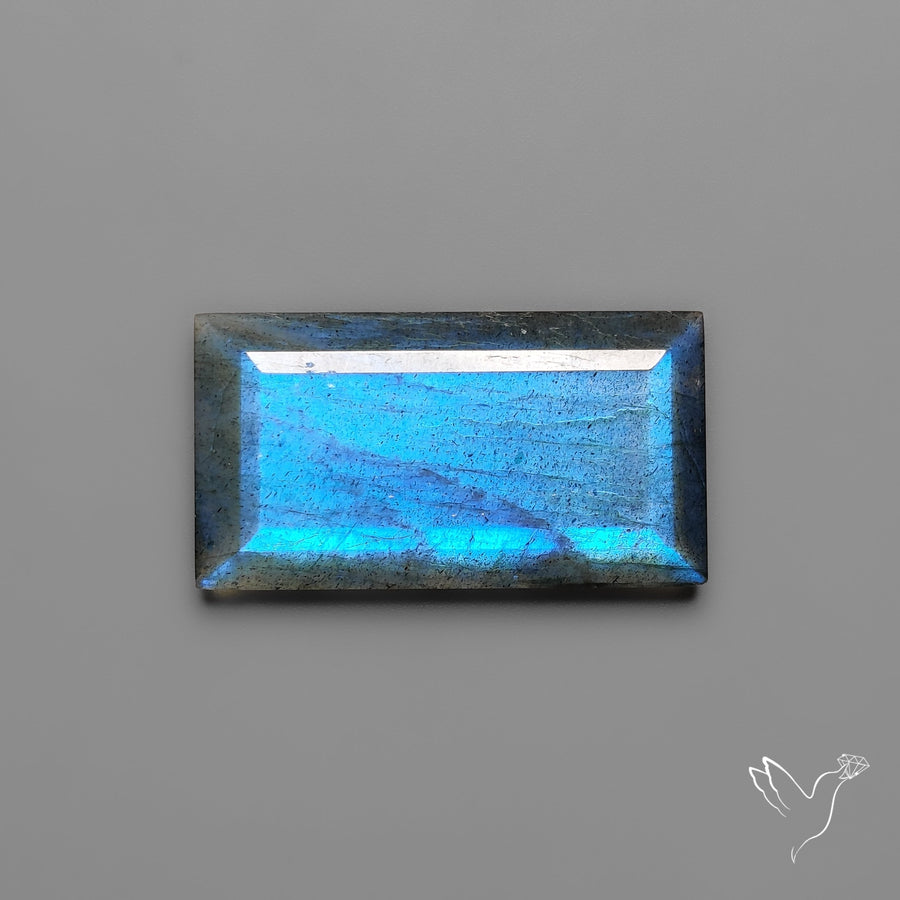 Portrait Cut Blue Labradorite Flat Backed
