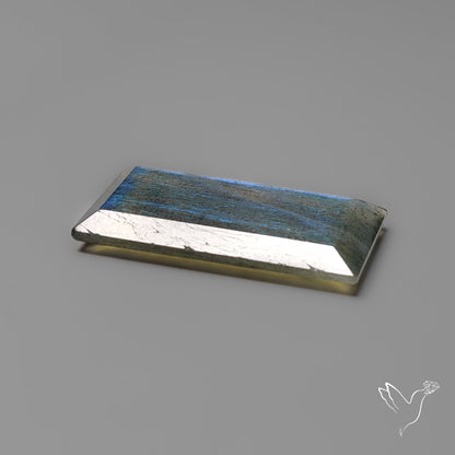 Portrait Cut Blue Labradorite Flat Backed