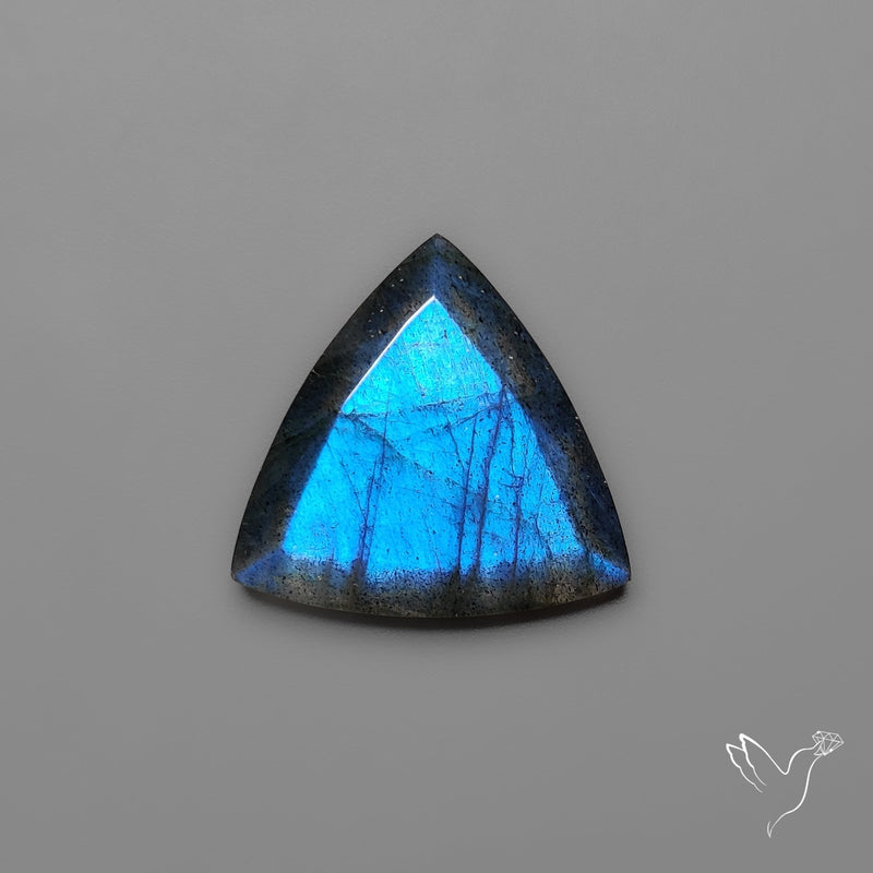 Portrait Cut Blue Labradorite Flat Backed