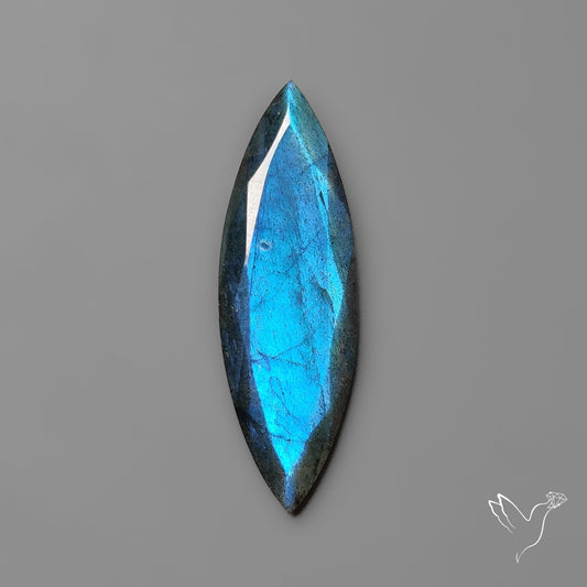 Portrait Cut Blue Labradorite Flat Backed