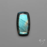 Portrait Cut Blue Labradorite Flat Backed