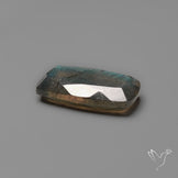 Portrait Cut Blue Labradorite Flat Backed