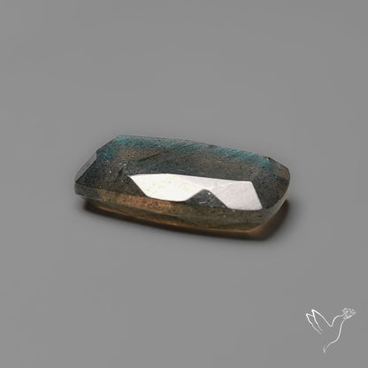 Portrait Cut Blue Labradorite Flat Backed