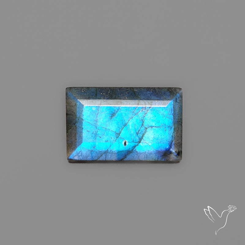 Portrait Cut Blue Labradorite Flat Backed