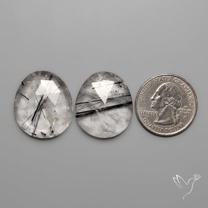 Rose Cut Black Tourmaline in Quartz Pair