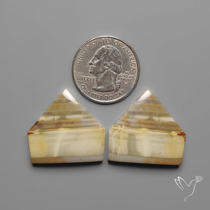 Picture Jasper Pair
