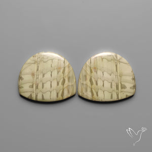 Picture Jasper Pair
