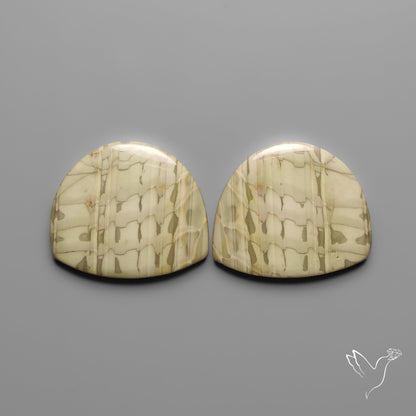 Picture Jasper Pair