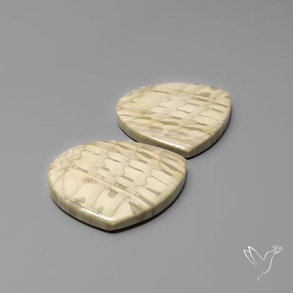Picture Jasper Pair