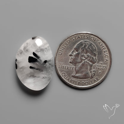Black Tourmaline In Quartz Cabochon