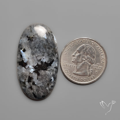 Larvikite Feldspar Cabochon