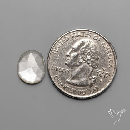 Rose Cut White Moonstone