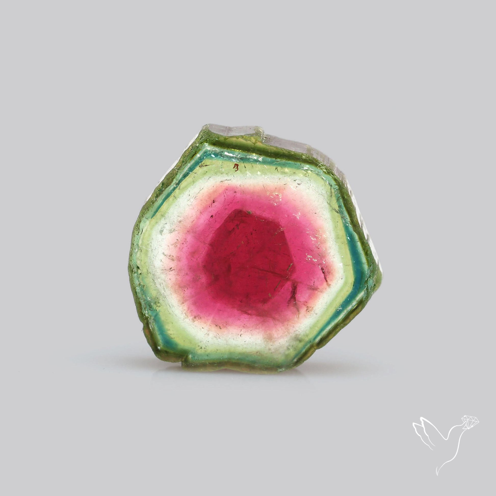 Watermelon Tourmaline Slice Rare Perfect Green Border