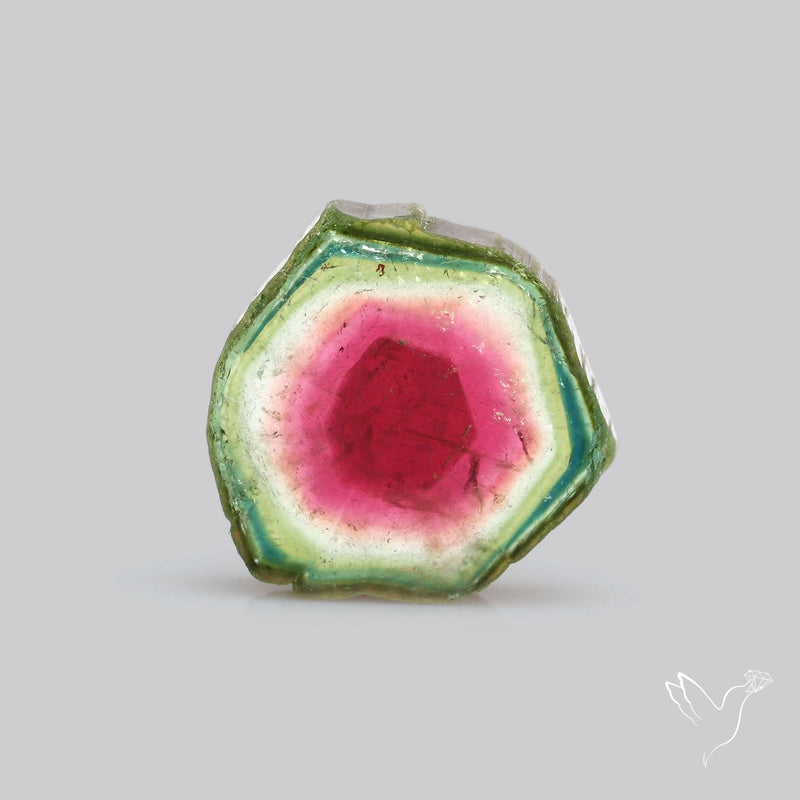 Watermelon Tourmaline Slice Rare Perfect Green Border