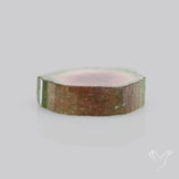 Watermelon Tourmaline Slice Rare Perfect Green Border