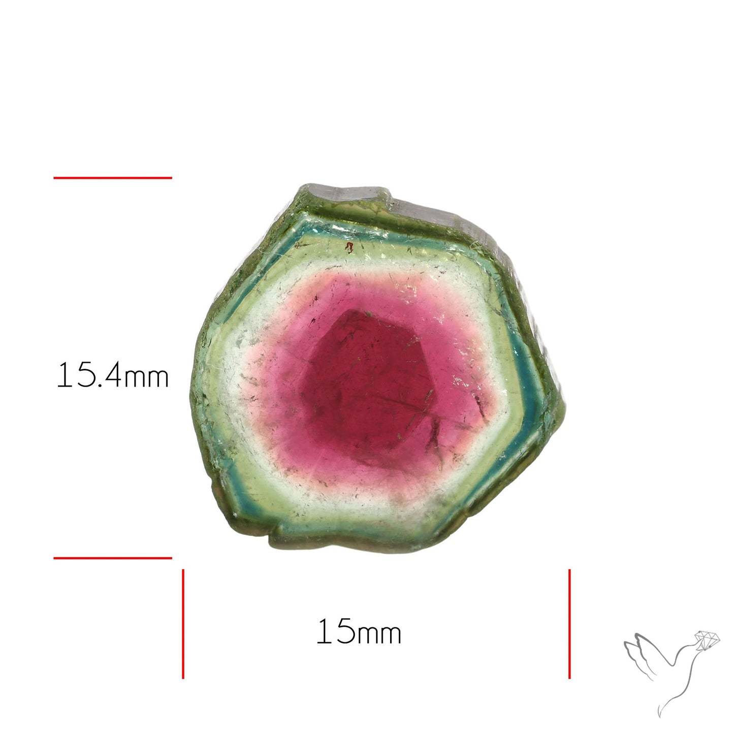 Watermelon Tourmaline Slice Rare Perfect Green Border