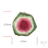 Watermelon Tourmaline Slice Rare Perfect Green Border