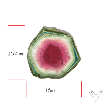 Watermelon Tourmaline Slice Rare Perfect Green Border