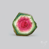 Watermelon Tourmaline Slice Rare Perfect Green Border