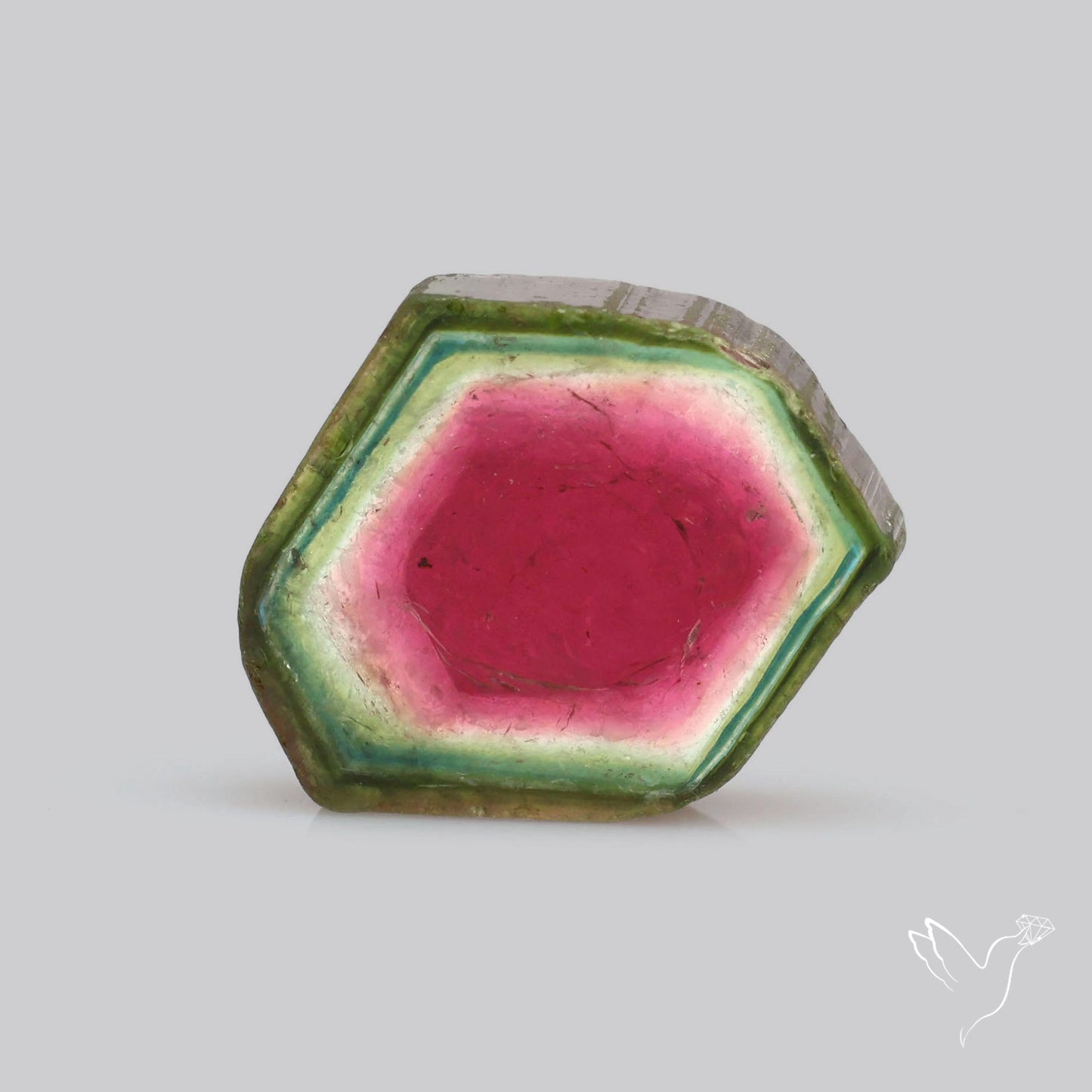 Watermelon Tourmaline Slice Rare Perfect Green Border