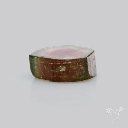 Watermelon Tourmaline Slice Rare Perfect Green Border