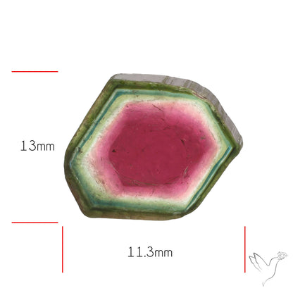 Watermelon Tourmaline Slice Rare Perfect Green Border