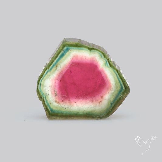 Watermelon Tourmaline Slice Rare Perfect Green Border