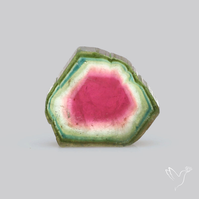 Watermelon Tourmaline Slice Rare Perfect Green Border