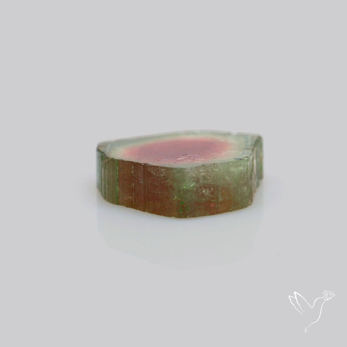 Watermelon Tourmaline Slice Rare Perfect Green Border
