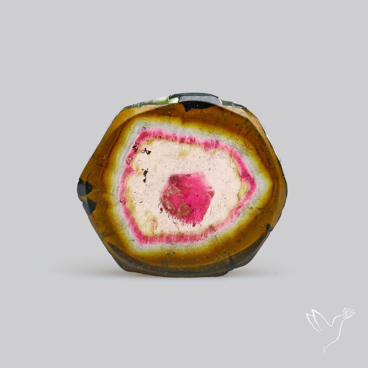 Watermelon Tourmaline Slice Rare Perfect Green Border