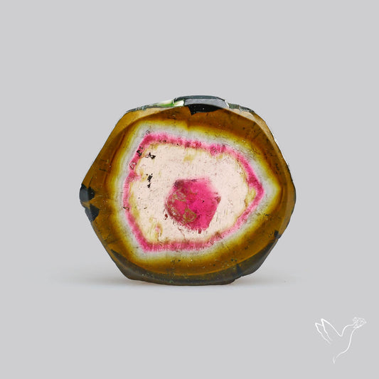 Watermelon Tourmaline Slice Rare Perfect Green Border