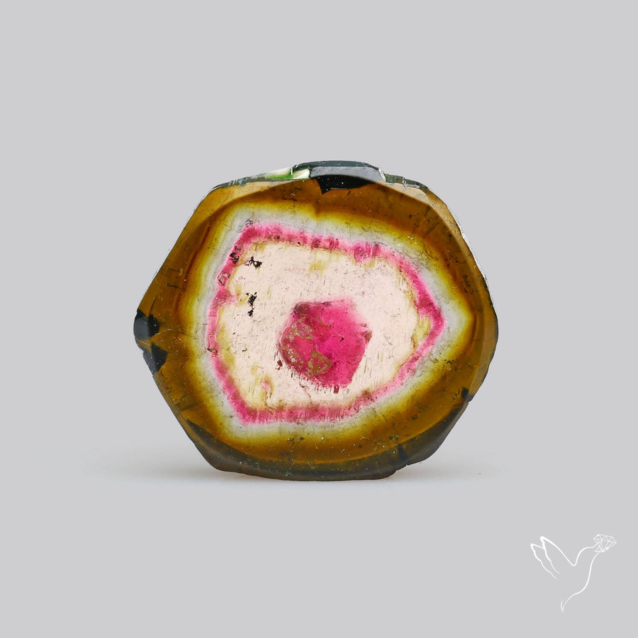 Watermelon Tourmaline Slice Rare Perfect Green Border