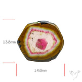 Watermelon Tourmaline Slice Rare Perfect Green Border