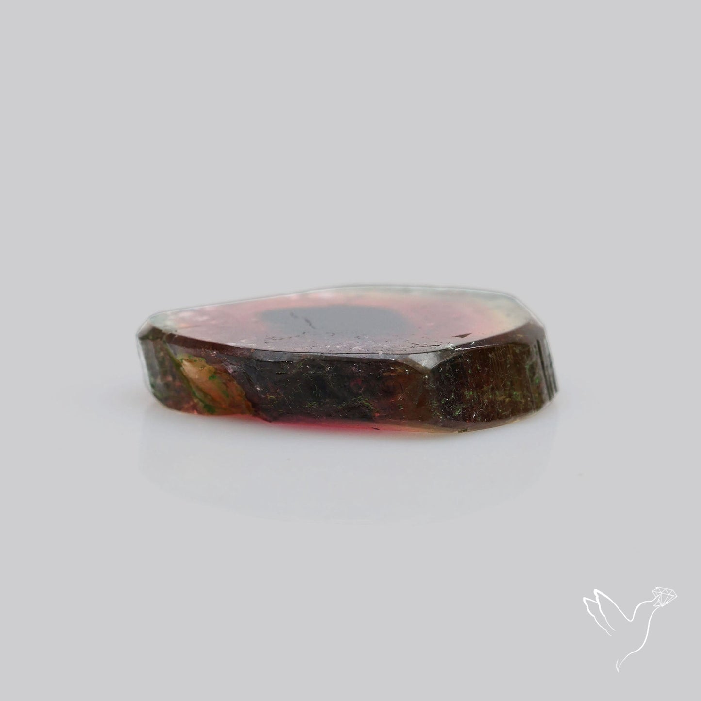 Watermelon Tourmaline Slice Rare Flashy