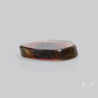 Watermelon Tourmaline Slice Rare Flashy