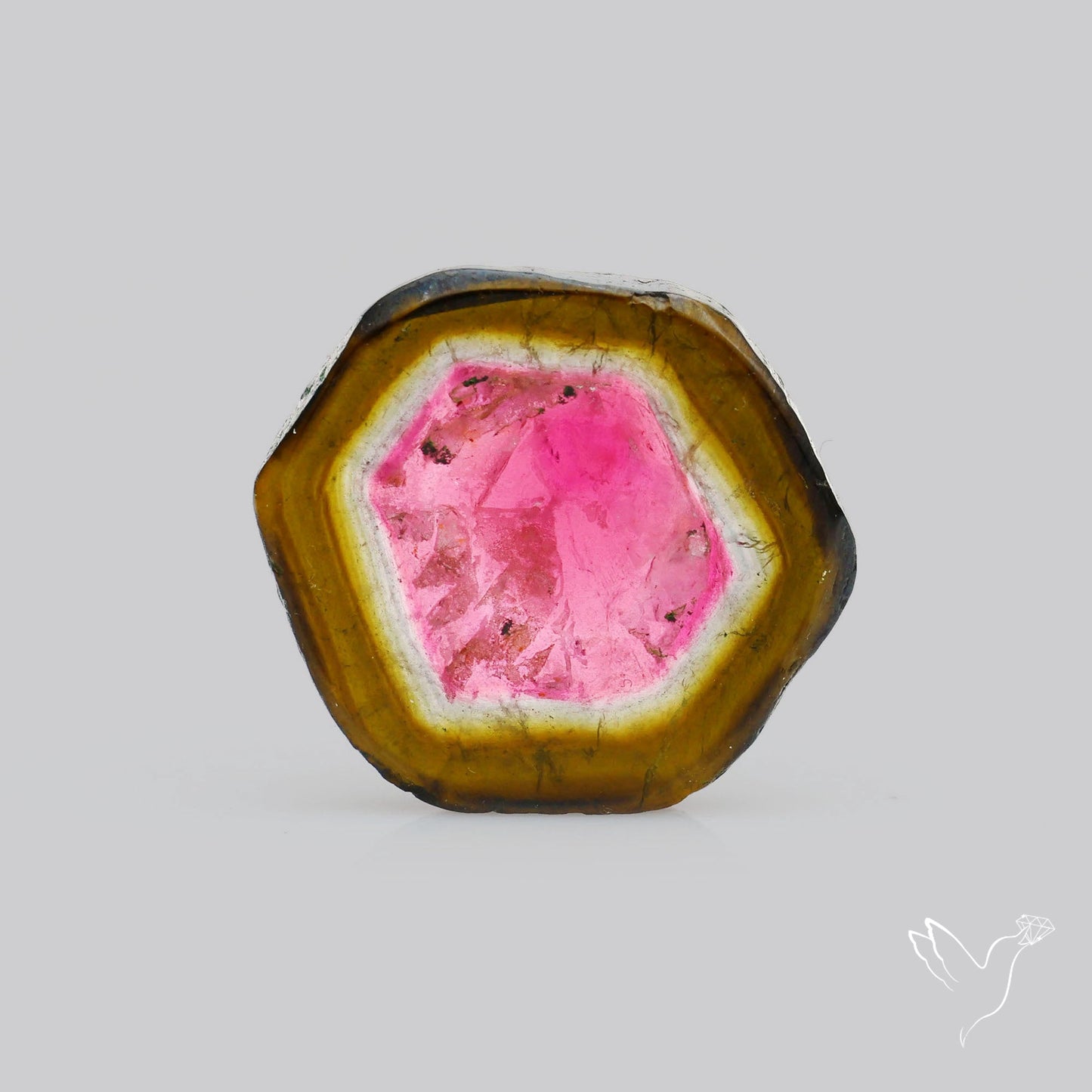 Watermelon Tourmaline Slice Rare Perfect Green Border