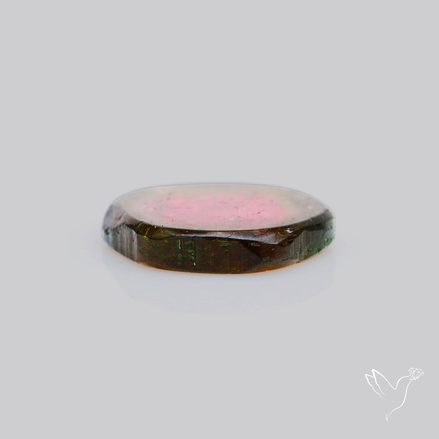 Watermelon Tourmaline Slice Rare Perfect Green Border