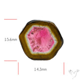 Watermelon Tourmaline Slice Rare Perfect Green Border