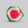 Watermelon Tourmaline Slice Rare Perfect Green Border