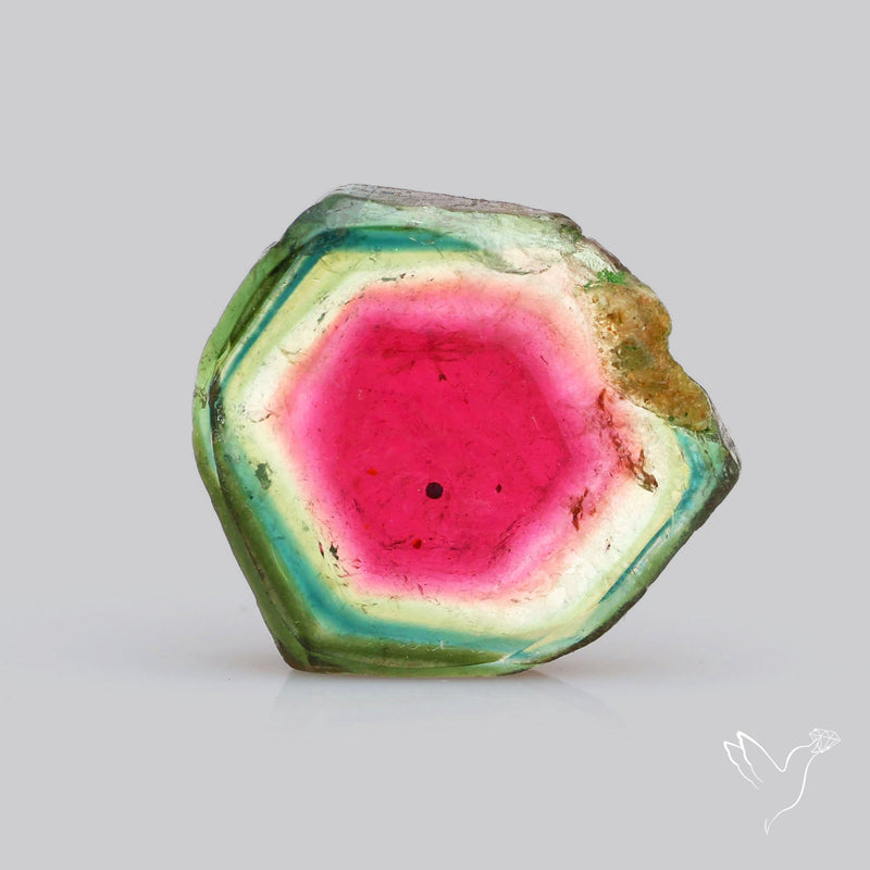 Watermelon Tourmaline Slice Rare Perfect Green Border